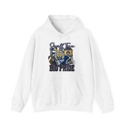 Small Town Big Pride Lions Hoodie